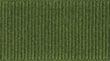 Grosgrain Ribbon - Moss