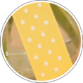 Spots