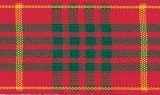 Cameron Tartan Ribbon