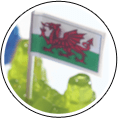 Welsh Flag