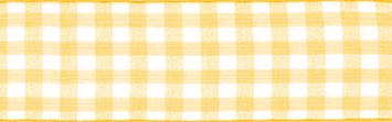 Sheer Gingham