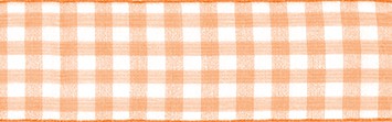 Sheer Gingham